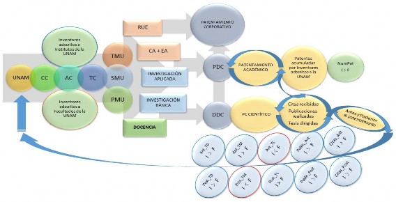 C:\Users\Userr\Downloads\PABLO - ADMINISTRACION DEL CONOCIMIENTO\PUBLICACION ACACIA\FIGURAS\FIGURA 10. Modelo_inicial_AC.jpg C:\Users\Userr\Downloads\PABLO - ADMINISTRACION DEL CONOCIMIENTO\PUBLICACION ACACIA\FIGURAS\FIGURA 10. Modelo_inicial_AC.jpg